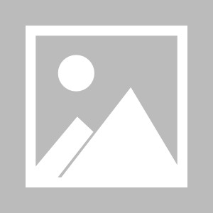 世界杯直播入口-【布鲁克林网事】篮网展现出了那颗争冠的心